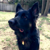 woofy_graduate