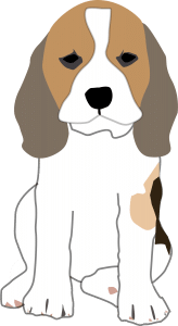 beagle_puppy