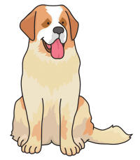 st_bernard